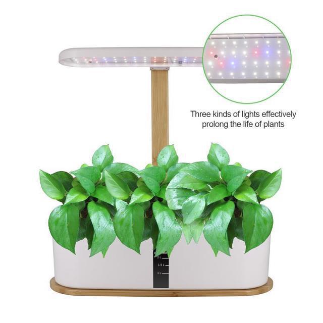 Hydroponic system for growing berries and vegetables