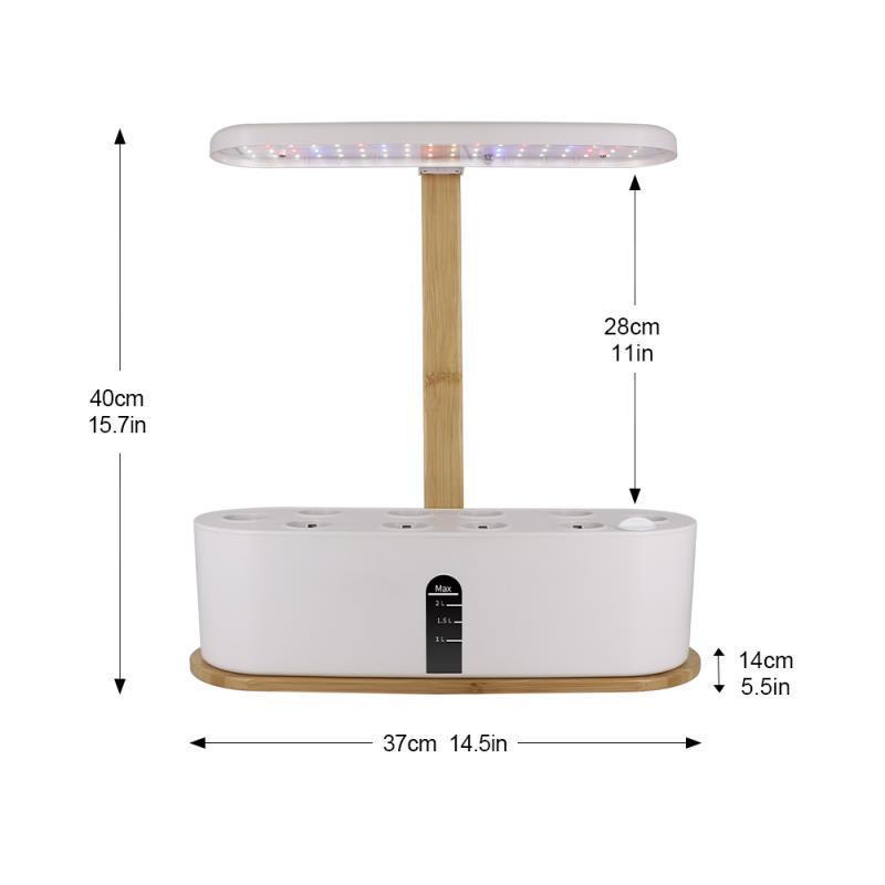 Hydroponic system for growing berries and vegetables