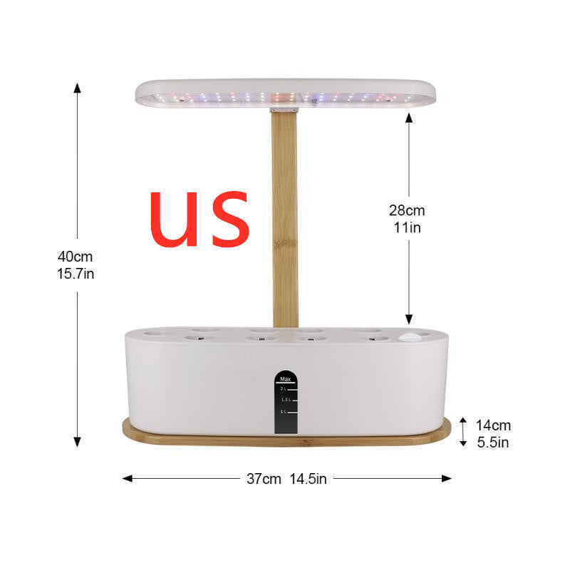 Hydroponic system for growing berries and vegetables