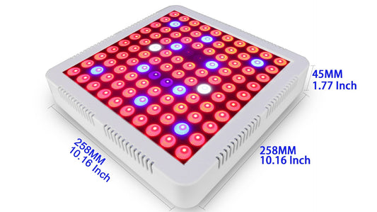300W LED Grow Light (1000W Equivalent): Full Spectrum for Healthy and Growing Plants - ArtOm_farm™ MICROGREENS