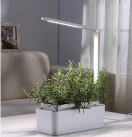 Stylish and functional hydroponic box for growing herbs and flowers