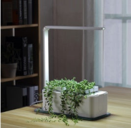 Stylish and functional hydroponic box for growing herbs and flowers