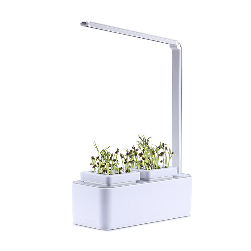 Stylish and functional hydroponic box for growing herbs and flowers