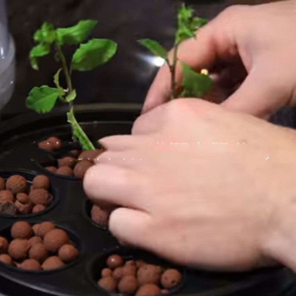 Balcony Hydroponic System