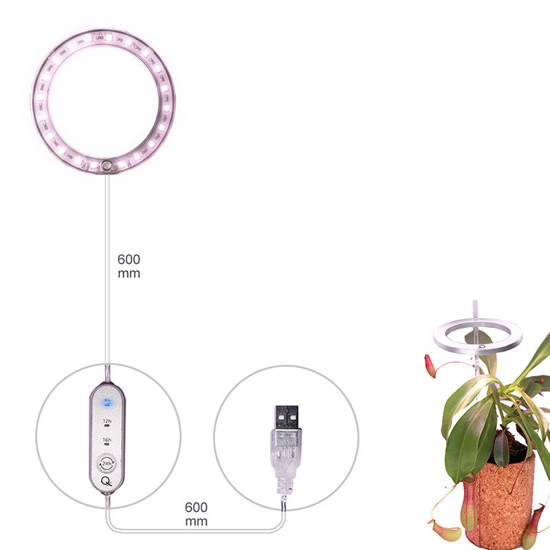 LED Angel Ring Grow Light