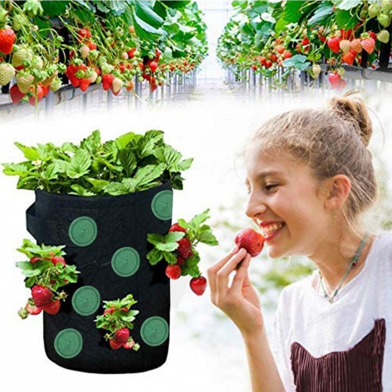 Strawberry Grow Bag Nonwoven Fabric Vertical Jardin Garden Hanging Plant Bag Vegetable Potato Planter Bag For Greenhouse