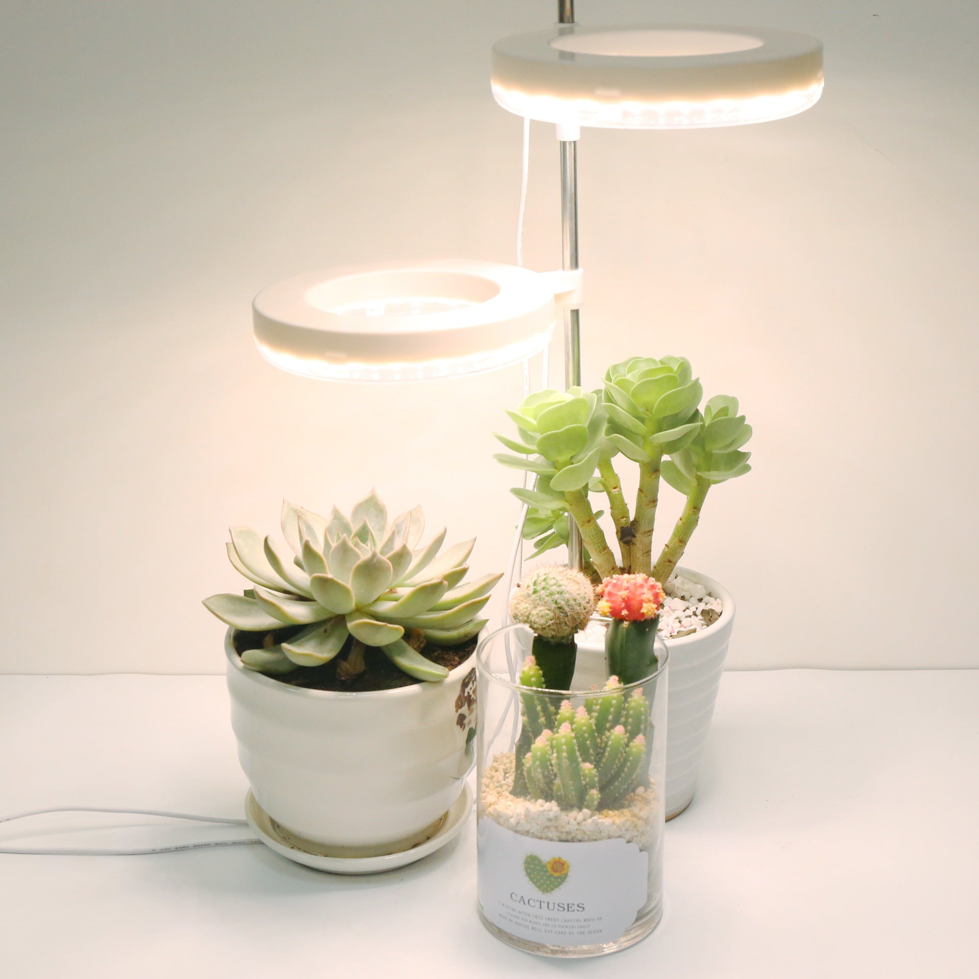 Home Office Desk Flower And Plant Growth Lamp - ArtOm_farm™ MICROGREENS