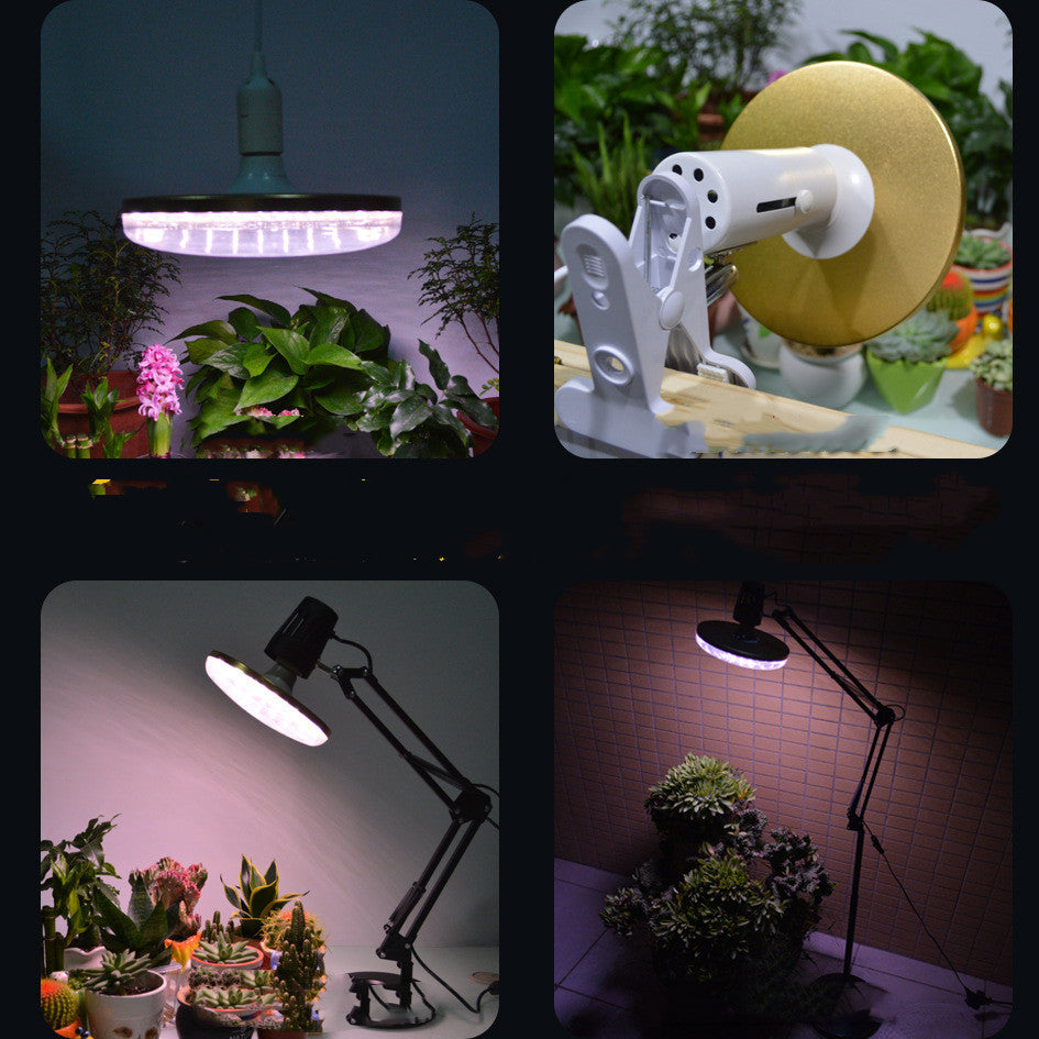 Full Spectrum LED Grow Light - ArtOm_farm™ MICROGREENS