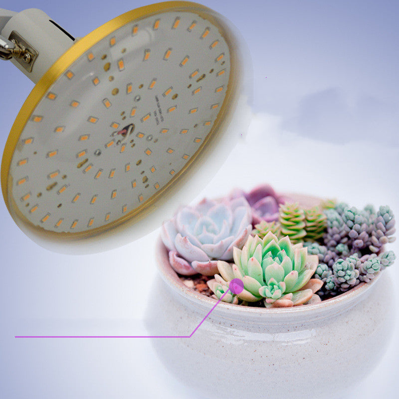 Full Spectrum LED Grow Light - ArtOm_farm™ MICROGREENS