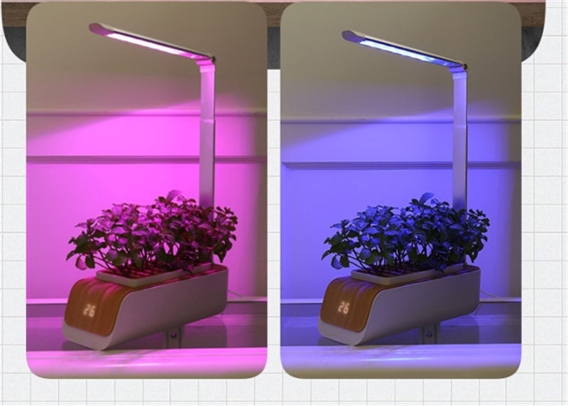 Desk Lamp Hydroponic Indoor Herb Garden Kit