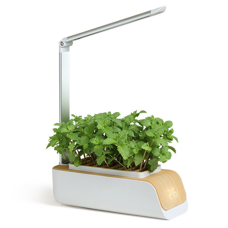 Desk Lamp Hydroponic Indoor Herb Garden Kit