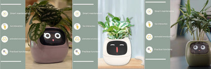 Smart Planter - ArtOm_farm™ MICROGREENS
