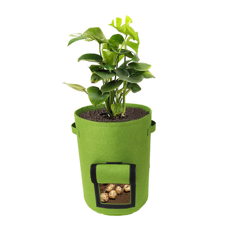 Multifunctional container for growing seedlings