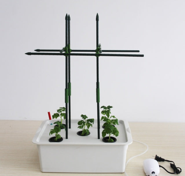 Hydroponic Vegetable Growing Tank