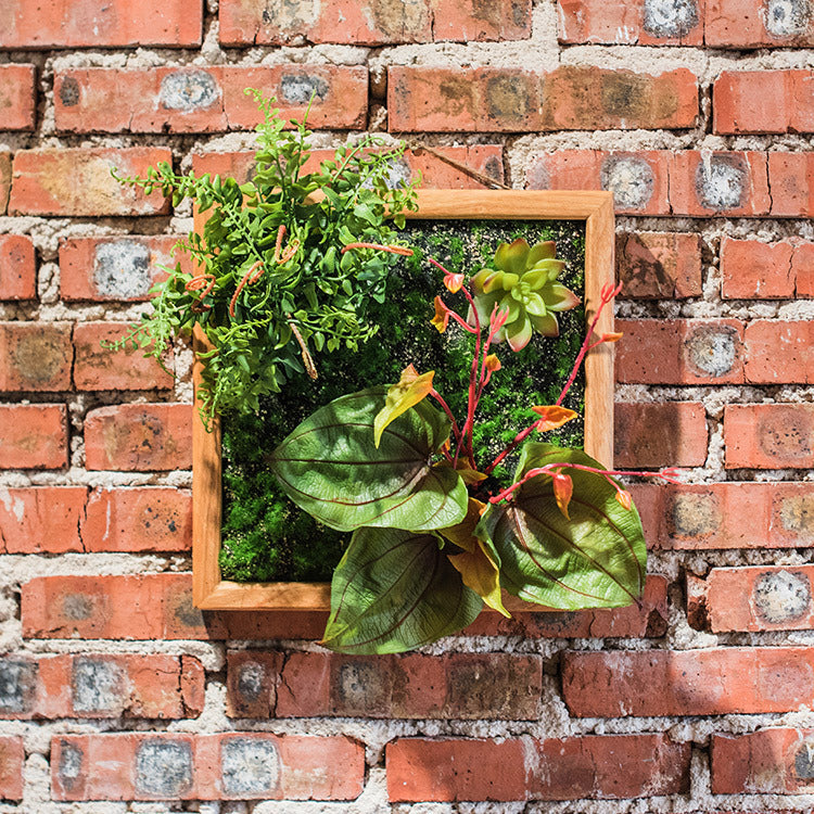 Simulation Green Frame Succulent Combination Plant Background Wall - ArtOm_farm™ MICROGREENS