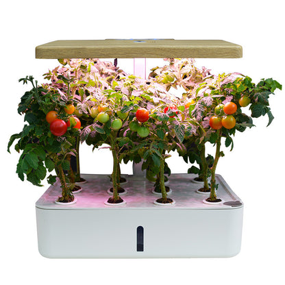 Hydroponic Plant Growing System