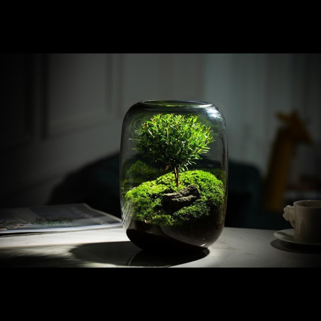 Miniature landscape for a creative desktop