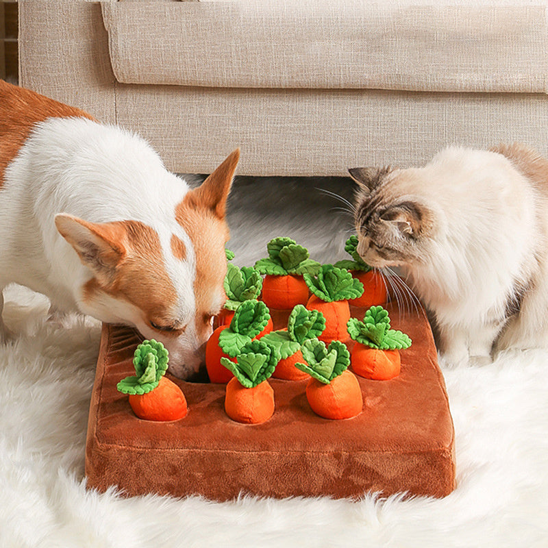 Carrot Plush Toy for Dogs