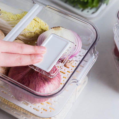 Fruit and Vegetable Storage Box with Lid