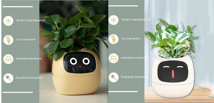 Smart Planter Solutions for Effortless Indoor Gardening