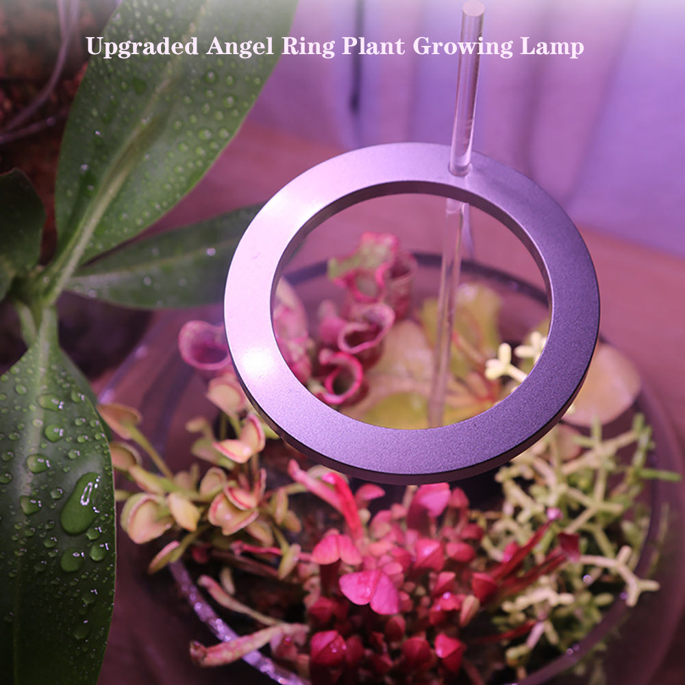 LED Angel Ring Grow Light