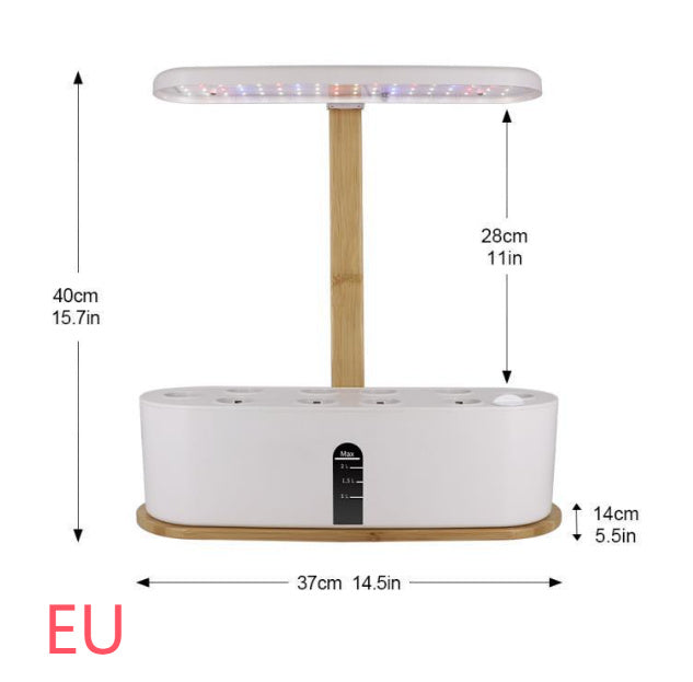 Hydroponic system for growing berries and vegetables