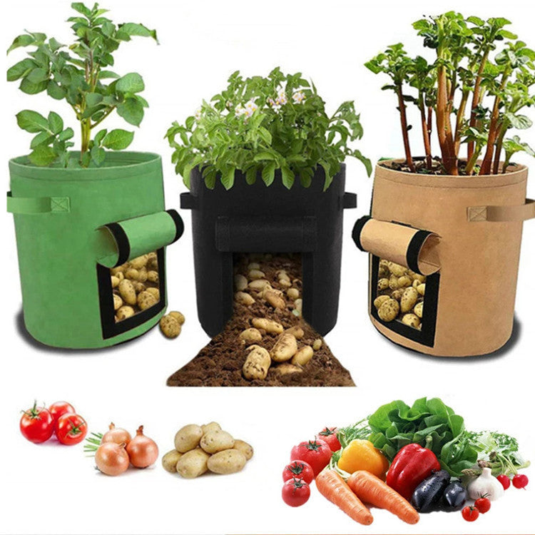 Multifunctional container for growing seedlings