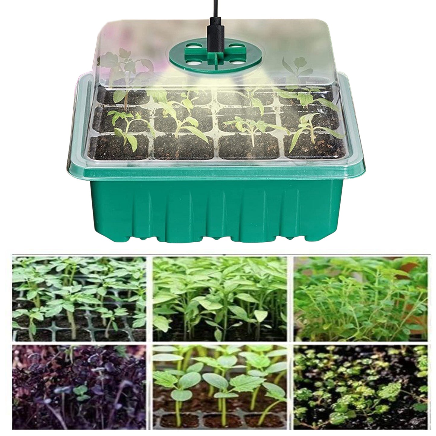 12-Cell Seedling Pot with LED Light