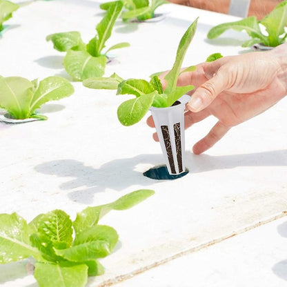 Special Hydroponic Vegetable Growing Basket