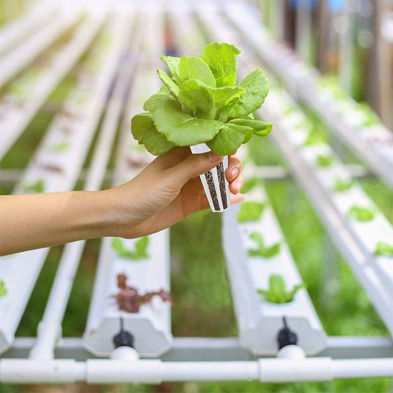 Special Hydroponic Vegetable Growing Basket