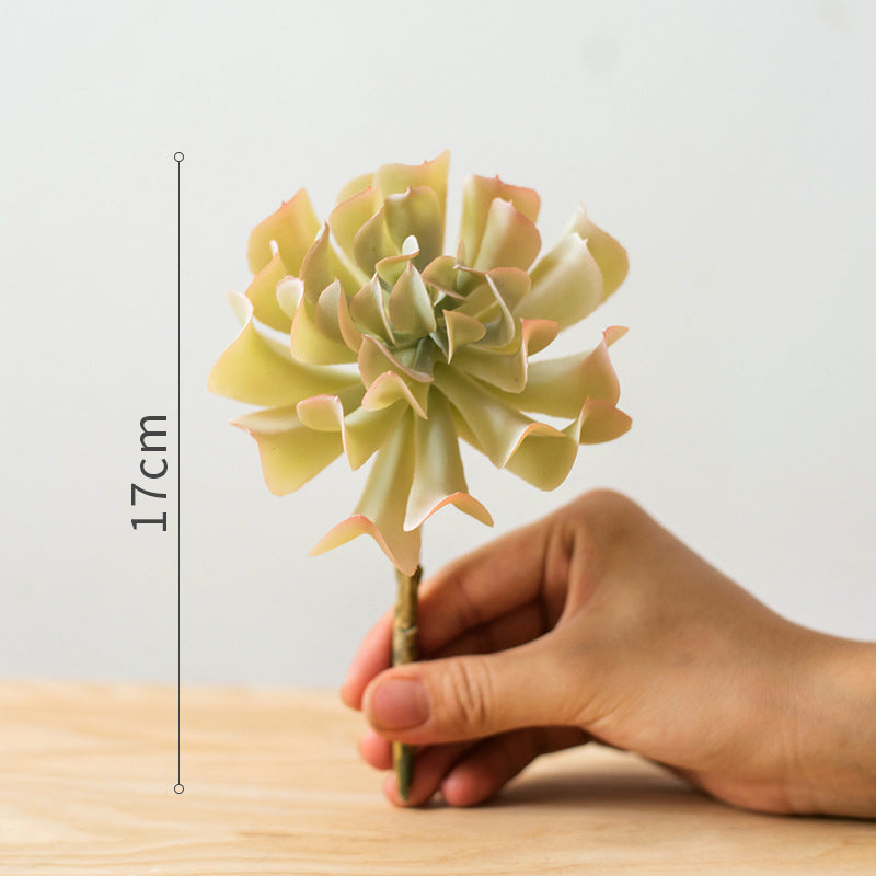 Artificial Aloe Plant Succulent Small Green Bonsai - ArtOm_farm™ MICROGREENS