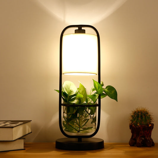 Modern Creative Glass Plant Hydroponic Table Lamp