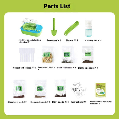 Vegetable Growing Observation Box Toy - ArtOm_farm™ MICROGREENS