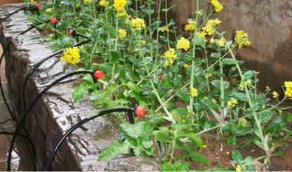 94-piece automatic watering kit for plants - ArtOm_farm™ MICROGREENS