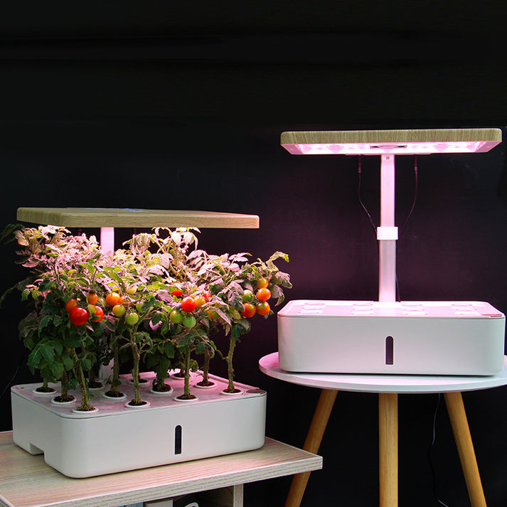 Hydroponic Growing System for Efficient Indoor Gardening Solutions ...