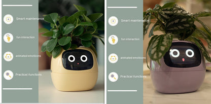 Smart Planter Solutions for Effortless Indoor Gardening