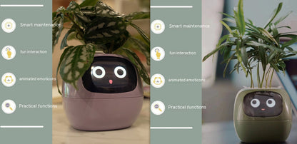 Smart Planter Solutions for Effortless Indoor Gardening