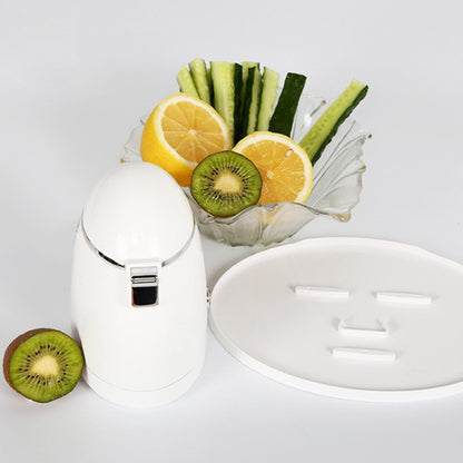 Fruit and Vegetable Facial Mask Machine