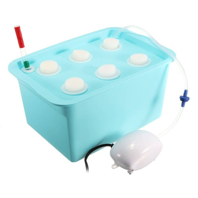 Vegetable water culture box