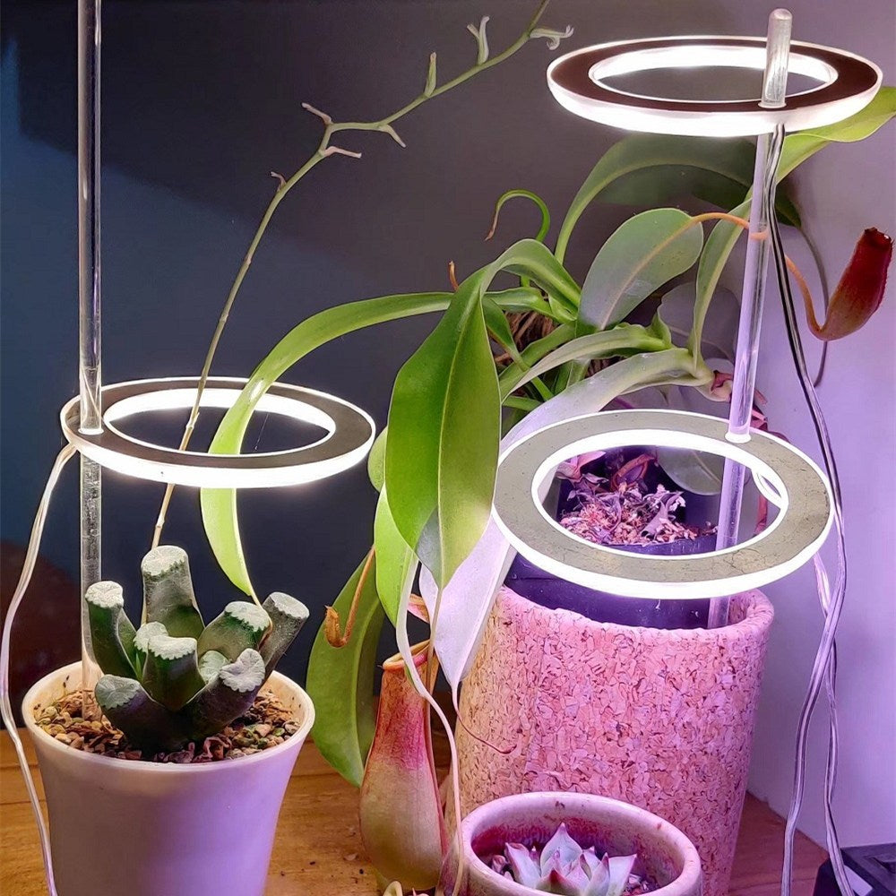 LED Angel Ring Grow Light