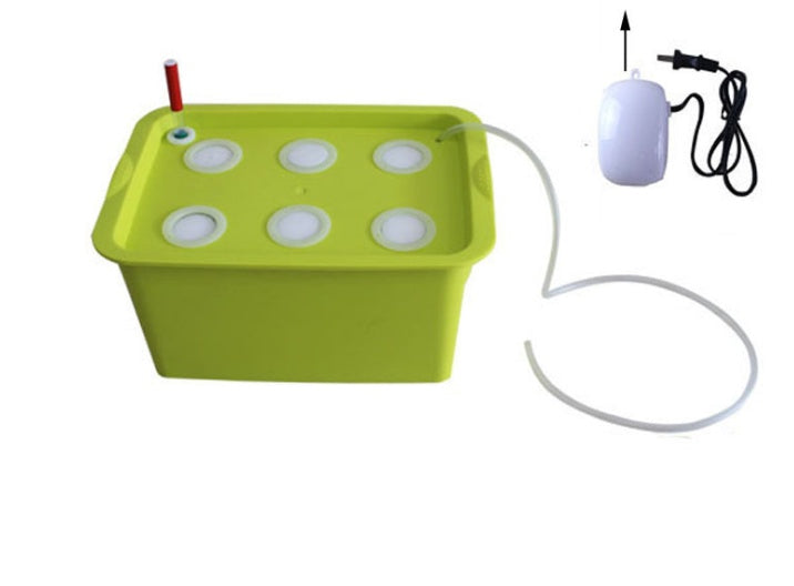 Vegetable water culture box