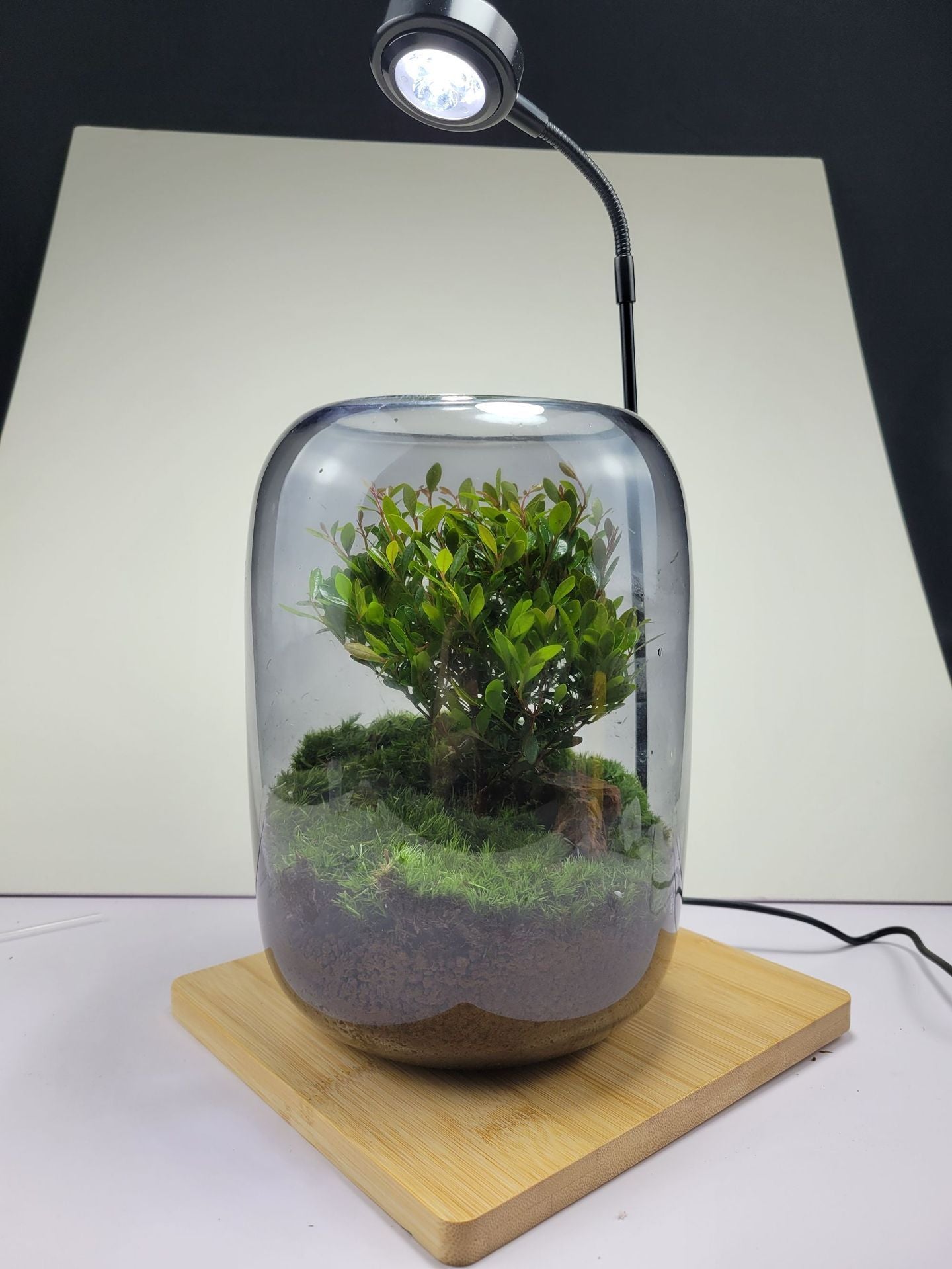 Miniature landscape for a creative desktop