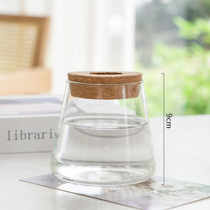 Transparent, Simple and Creative Hydroponic Glass Vase - ArtOm_farm™ MICROGREENS