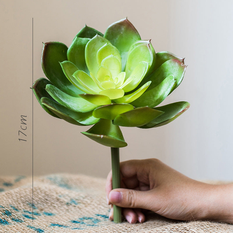 Artificial Aloe Plant Succulent Small Green Bonsai - ArtOm_farm™ MICROGREENS