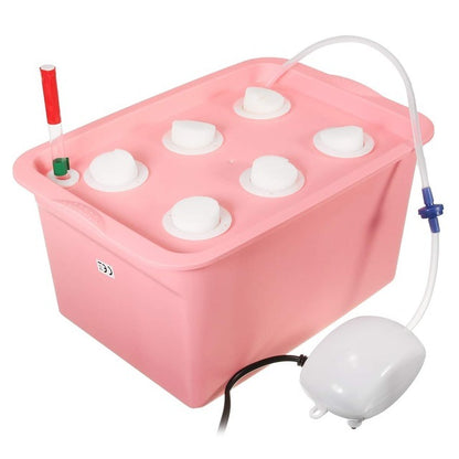 Vegetable water culture box - ArtOm_farm™ MICROGREENS