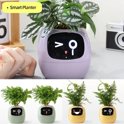 Smart Planter - ArtOm_farm™ MICROGREENS
