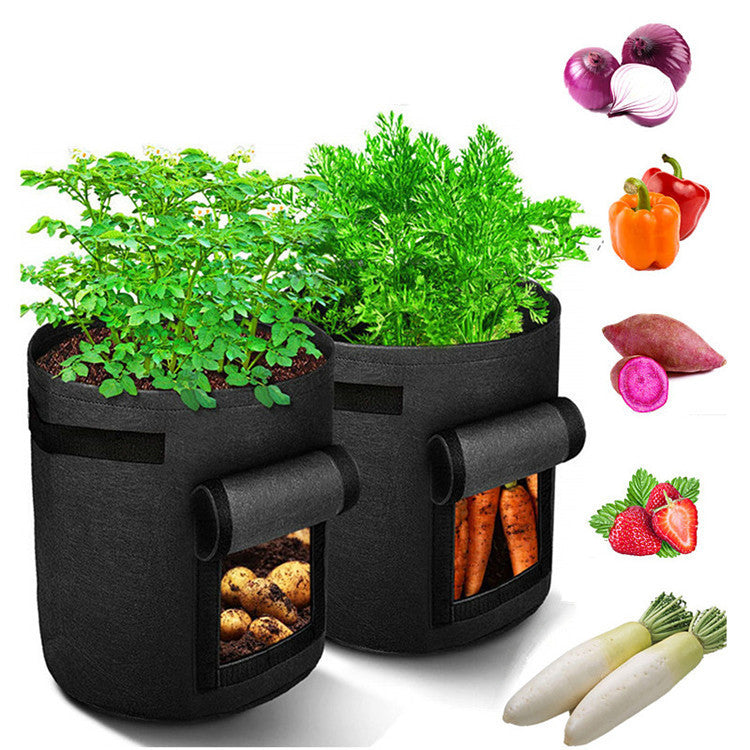 Multifunctional container for growing seedlings