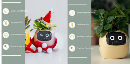 Smart Planter Solutions for Effortless Indoor Gardening