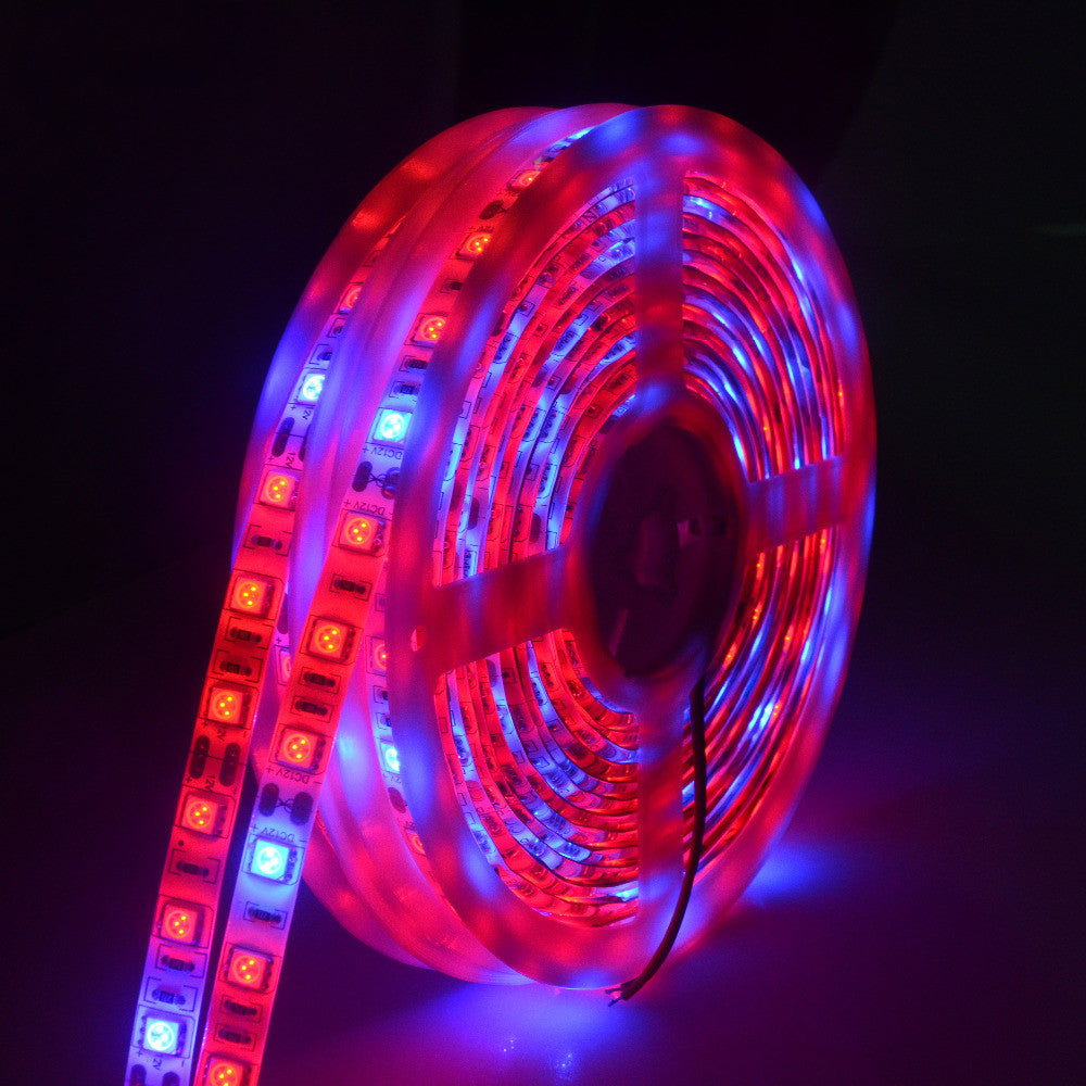 5050 LED Grow Light 5m: Soft Light for Your Garden! - ArtOm_farm™ MICROGREENS