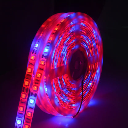 5050 LED Grow Light 5m: Soft Light for Your Garden! - ArtOm_farm™ MICROGREENS